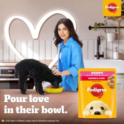 Pedigree Puppy Dog Food, Chicken Chunks in Gravy, 70 g (Pack of 15)