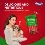 Drools Dog Treats, Creamy Chicken & Spinach 5 Sticks Tasty & Nutritious Snack for All Breeds, (15g x5),75g