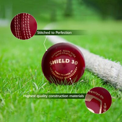 SG Shield 30 Four-Piece Water Proof Cricket Leather Ball (RED)