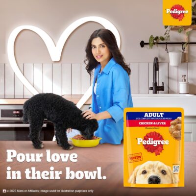 Pedigree Adult Wet Dog Food, Chicken & Liver Chunks in Gravy Pouch, 70 g