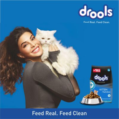 Drools Kitten(1-12 months) Dry Cat Food, Ocean Fish - 4kg (3kg + 1kg Free Food Inside)