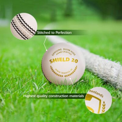 SG Leather Cricket Balls Shield 20 (White)