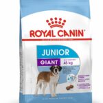 Royal Canin Giant Junior Dog Food, 15 Kg, Dry Food, Supports Immune System & Muscle Mass Development