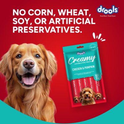 Drools Dog Treats, Creamy Chicken & Pumpkin, Tasty & Nutritious Snack for All Breeds, (15g x5),75g