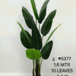 Artificial Plants with 10 Leaves and Height 5.5 Feet (Code:5377)