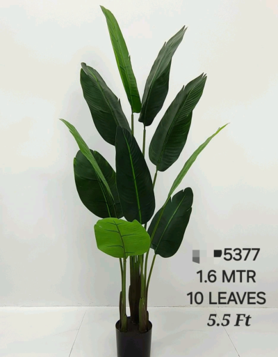 Artificial Plants with 10 Leaves and Height 5.5 Feet (Code:5377)