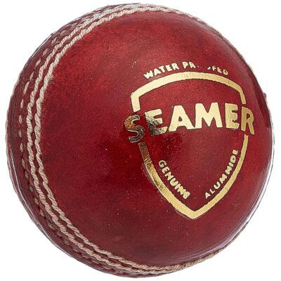 SG Test Adult Size Leather Cricket Ball (Red)