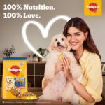 Pedigree Adult Dry Dog Food, Chicken & Vegetables, 3 kg, Contains 37 Essential Nutrients, 100% Complete & Balanced Food for Adult Dogs