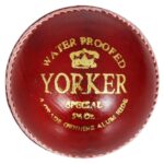 SS Leather Yorker Cricket Balls, (Red)