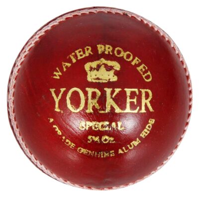 SS Leather Yorker Cricket Balls, (Red)