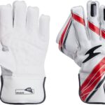 SS Dragon Youth Wicket Keeping Gloves (White/Black)