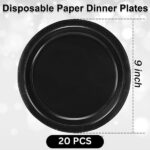 Black Paper Plates, 9inch Biodegradable Round Party Plates, Disposable Paper Plates for Cakes, Dessert, Snack, Fruits, 9 inch - Pack of 20 pcs
