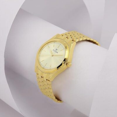 Titan Analog Gold Dial Men's Watch NM1648YM02/NN1648YM02/NP1648YM02