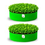 Leafy Grow Bag for Terrace Garden, Premium HDPE 260 GSM Green Plant Bags for Leafy Vegetables (Pack of 2)