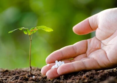 Urea Fertilizer (5 Kg) Water Soluble Neem Coated Soil for Vegetables, Flowers, Fruits Plants, Maximum Production, Ideal for Home, Terrace, and Outdoor Gardens