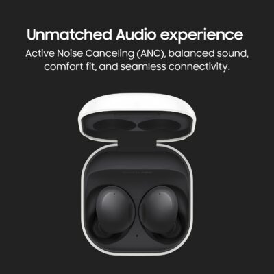 Samsung Galaxy Buds 2, Graphite