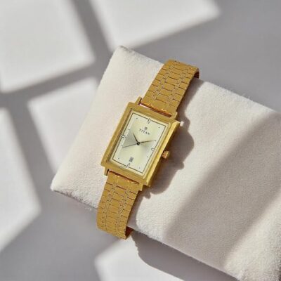 Titan Analog Gold Dial Men's Watch-NL1715YM02 / NL1715YM02