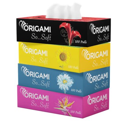 2 Ply Facial Tissue Box | Car Tissue - Pack of 4 (100 Pulls Per Box, 400 Sheets (800 sheets)