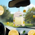Gel Wink Hanging Car Perfume - Berry, Lemon, Sandalwood | pack of 3 | Long-Lasting Gel Based Car Air Freshener | Car Accessories | Last Up to 30 Days