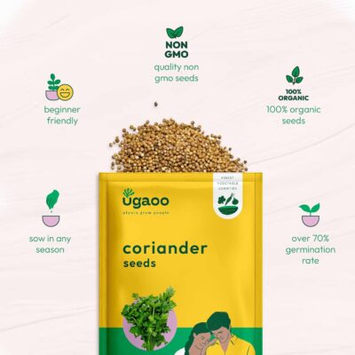 Coriander Vegetable Seeds (Green, Pack of 6g)