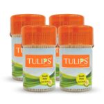 Wooden Toothpicks 240 Sticks in a Reusable Jar (Pack of 4)