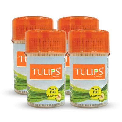 Wooden Toothpicks 240 Sticks in a Reusable Jar (Pack of 4)