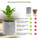 6x6 Inch 400 GSM Geo Fabric Plant Grow Bag Suitable for Terrace and Flowers Vegetable Gardening Light Grey Color Pack of 10