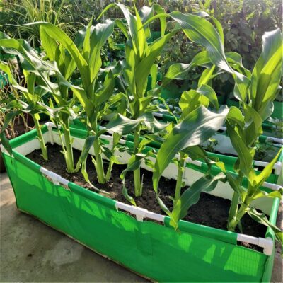 72x36x12 Rectangular Grow Bag with Supporting PVC Pipes for Home & Terrace Garden, Premium HDPE 350 GSM Green Raised Plant Bag for Vegetables & Flowers (Green)