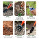 Metal Agriculture Gardening Tools Kit-10 Pcs (Cultivator, Fork, Trowels, Weeder, Garden Gloves, Pruner Cutter, Scissors, Tool packet) | Gardening Tools Set for Home Garden