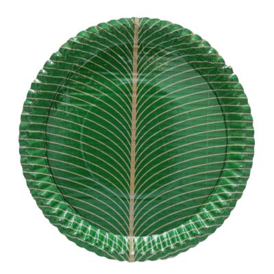 100% Biodegradable Eco Friendly_12 Inch Paper Dinner Plates Pack of 25_Natural Paper Plates_SPOYP2