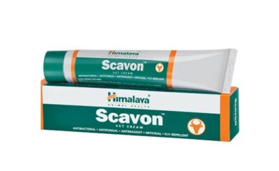 Himalaya Scavon Vet Cream for Dogs & Cats – Antimicrobial Wound Healer | Controls Bacterial & Fungal Infections | 50 ml