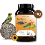 Foodie Puppies Striped Sunflower Seeds Bird Food – High Protein & Energy-Rich Daily Nutrition for Parrots, Cockatiels, Lovebirds, Macaws, Budgies & More (1 kg)