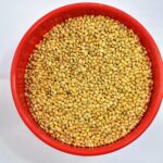 Amijivdaya Yellow Millet Bird Food for Small Birds – 100% Natural Premium Seed Mix (5 kg Bag)