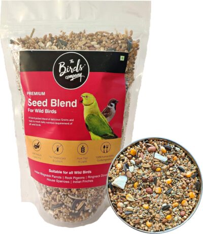 The Birds Company Premium Seed Blend of 9 Grains & Nuts – Bird Feeder Food Refill for Wild Birds, Parrots, Sparrows, Doves (450 g)