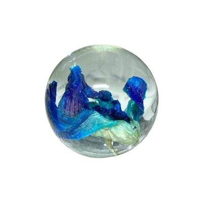 Royalthum Blue Orchid Resin Paperweight – 50mm Sphere