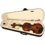 Blue Panther Violin With Case, Bow, String Set and Rosin