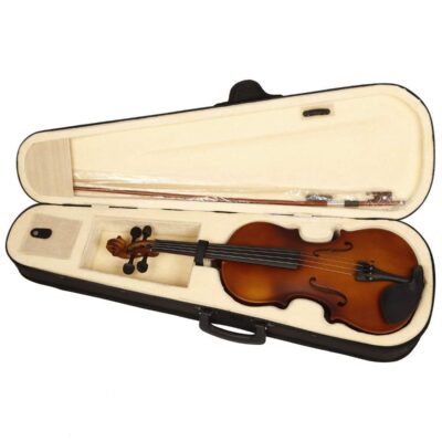 Blue Panther Violin With Case, Bow, String Set and Rosin