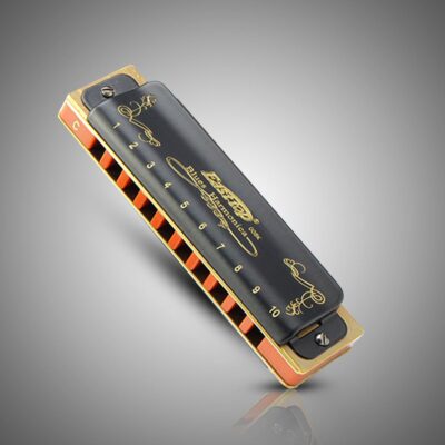Easttop T008K Diatonic Blues Mouth Organ Harmonica (Key of C)