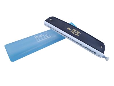 Blueberry H-2403 Professional 24-Hole 48-Tone Key C Mouth Organ Harmonica Scale Changer with Case (Black)