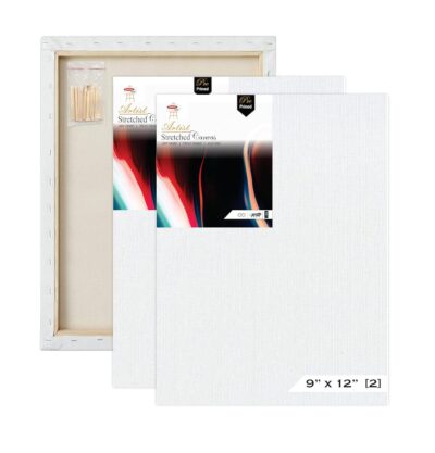 Variety Canvas 9 x 12 Inch 2 Piece Pre-Stretched Canvas Board for Painting with Wooden Frame