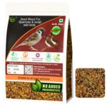MAF Sparrow Bird Food – 450 g – Premium Multi-Grain & Millet Seed Mix for House Sparrows, Finches, Munias & Small Wild Birds – Refill Pack