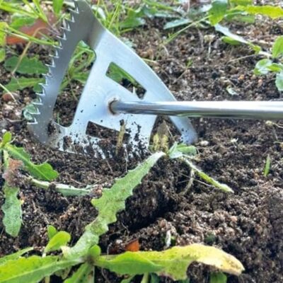 Sharpex 3-in-1 Gardening Tool with 8.5 cm Stainless Steel Blade & Wooden Handle | Heavy Duty Hoe for Loosening Soil, Planting, Digging | Works as Garden Tiller
