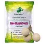 Wood Apple Tree Seeds (Bael, Aegle Marmelos) – 100 Seeds for Home Gardening and Organic Planting