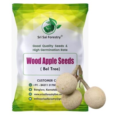 Wood Apple Tree Seeds (Bael, Aegle Marmelos) – 100 Seeds for Home Gardening and Organic Planting