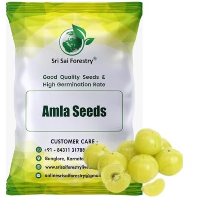 Amla Indian Gooseberry (Pack of 100) Tree Seeds for Home Garden
