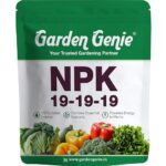 Garden Genie NPK 19 19 19 Fertilizer for Plants I 100% Water Soluble I Complete Plant Nutrition for Gardening, Growth Boost And Flowering, 800 Gm, Powder