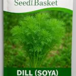 Seed basket Dill (Soya) 500 Seeds for Planting – Aromatic Herb & Leafy Vegetable – High Germination, Fast Growing, Non-GMO – Ideal for Kitchen Garden, Terrace, Pots & Farms