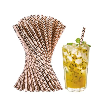 Wanna Party 24 PCS Rose Gold and White Zig Zag Paper Straws, Biodegradable Disposable Drinking Straws for Brithday, Wedding,Pool Party, Picnics, Carnival Decoration Supplies