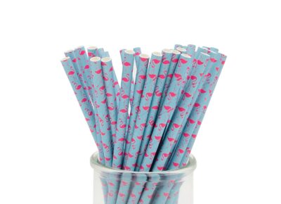 200 Pcs Disposable Straws, Party Straws, Biodegradable Paper Straws for Juices, Shakes, Smoothies, Birthday Party Baby Shower Supplies (Flamingo Blue)