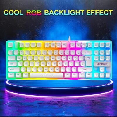 Ant Esports MK700 V2 Membrane TKL Wired Gaming Keyboard, 87 UV Coated Mechanical feel Keys Cool RGB Backlight Waterproof Keyboard for PC Laptop Mobile Tablets Gaming, Design and Work Mercury White